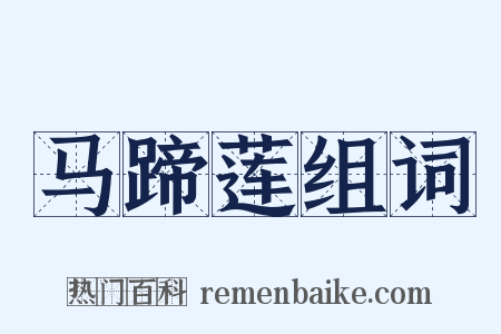 马蹄莲组词是什么意思的图片